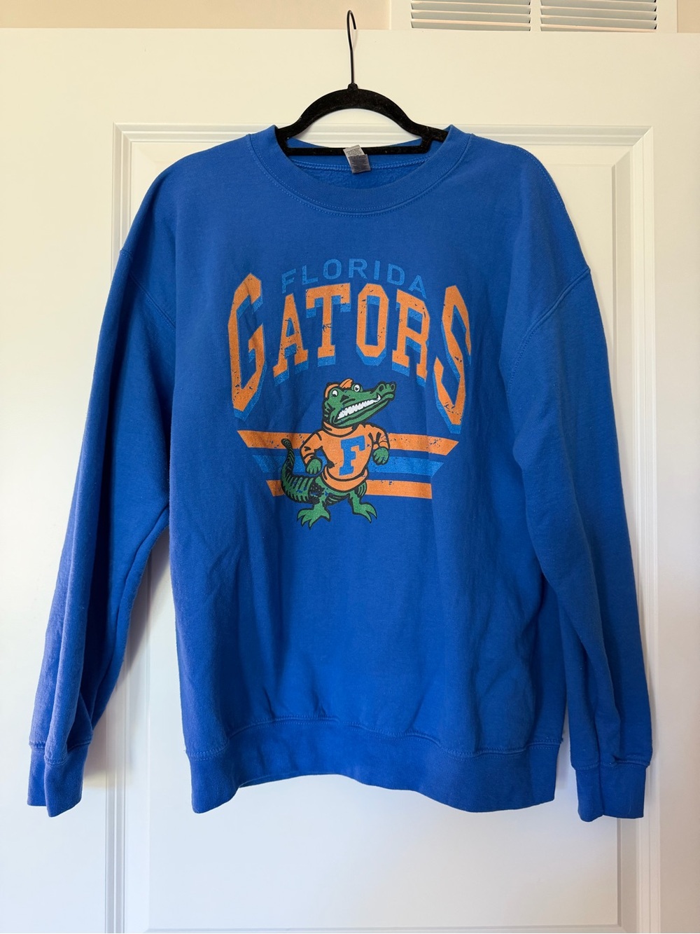 Gildan Royal Blue Florida Gators Graphic Crewneck Sweatshirt